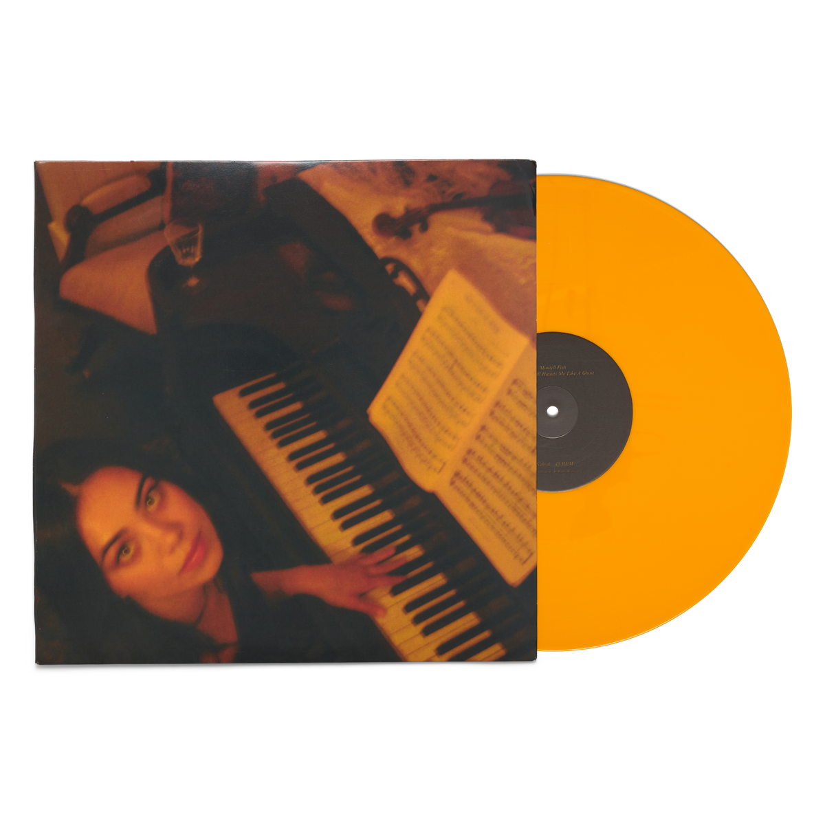 MONTELL FISH - HER LOVE STILL HAUNTS ME LIKE A GHOST VINYL
